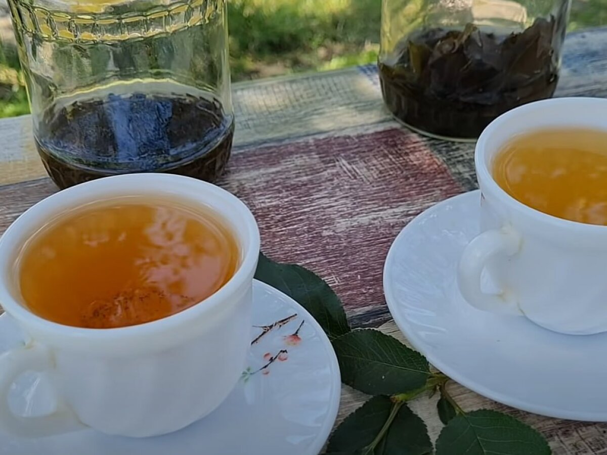 Świeżość lasu: herbata z liści porzeczki i maliny